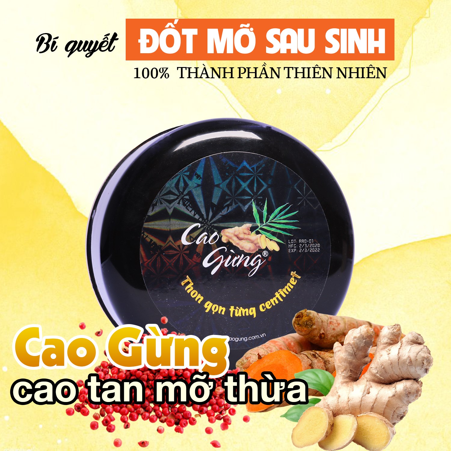 Cao Gừng Tan Mỡ Bụng Thiên Nhiên Việt(Tặng Thanh lăn) - 8936079033002