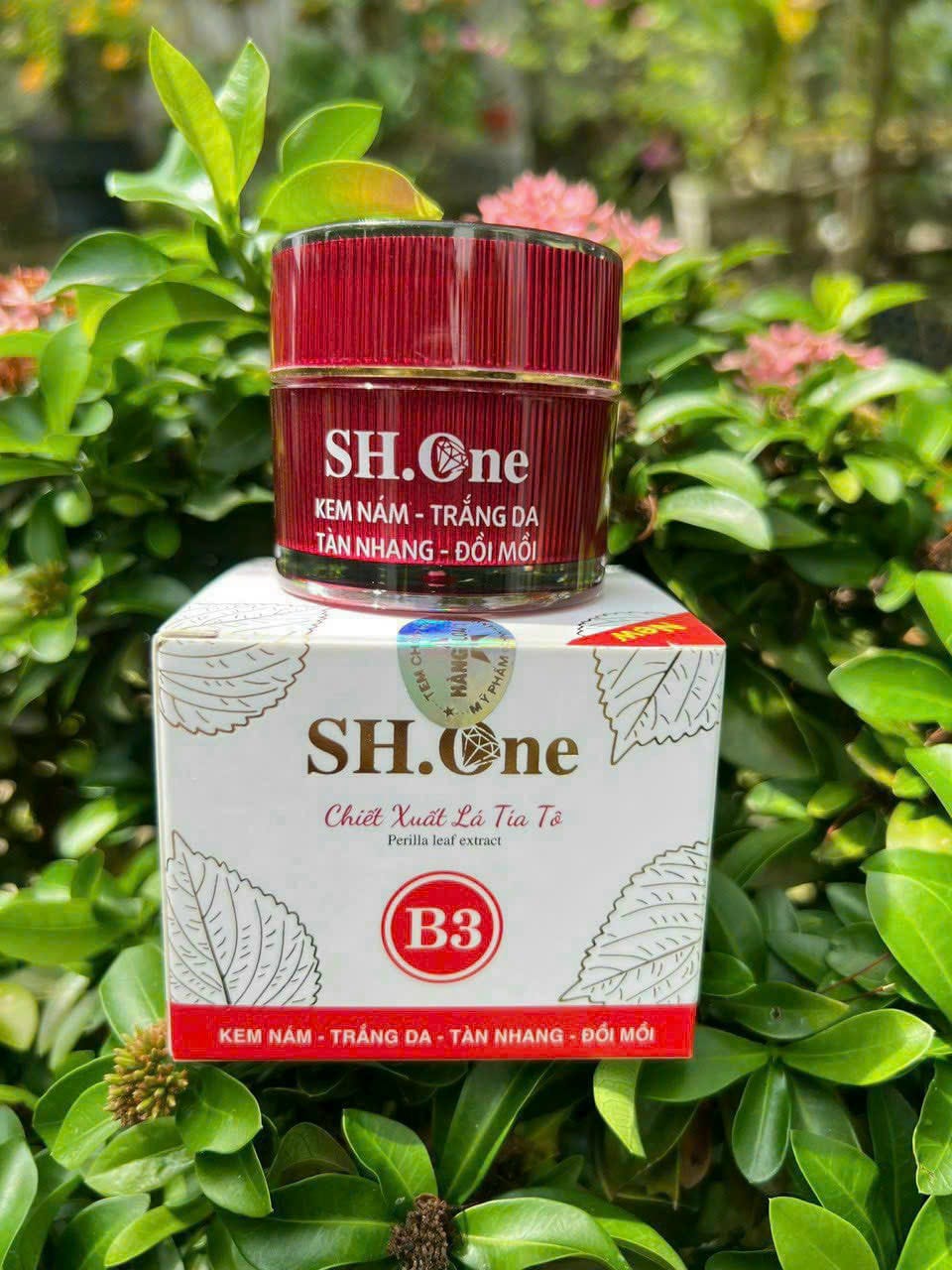 Giá sỉ kem Face Nám Trắng Da B3 SH One Đỏ Chiết Xuất Lá Tía Tô Giá sỉ kem Face Nám Trắng Da B3 SH One Đỏ Chiết Xuất Lá Tía Tô