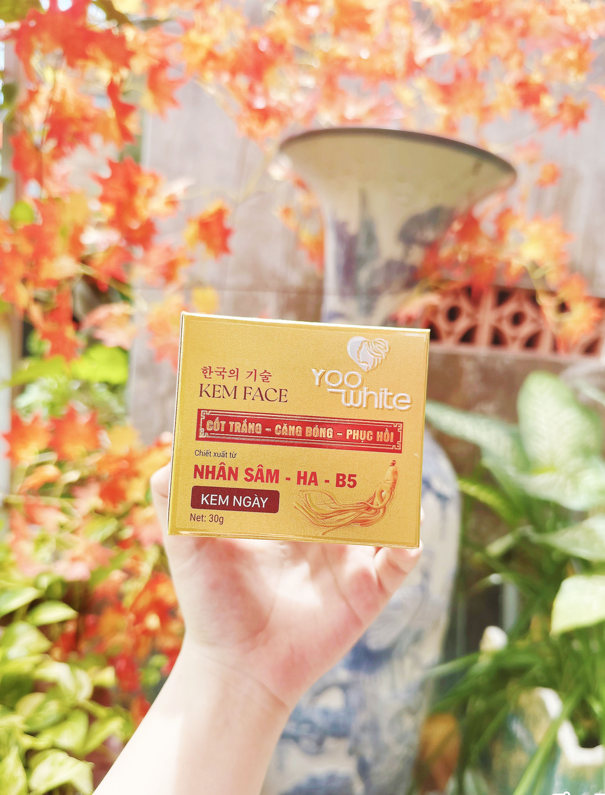 19963-z4442872791179-422922e649617ddb4cc35f9cbd314914-2.jpg Kem Face Cốt Trắng Nhân Sâm Yoo White - COTTRANGYW