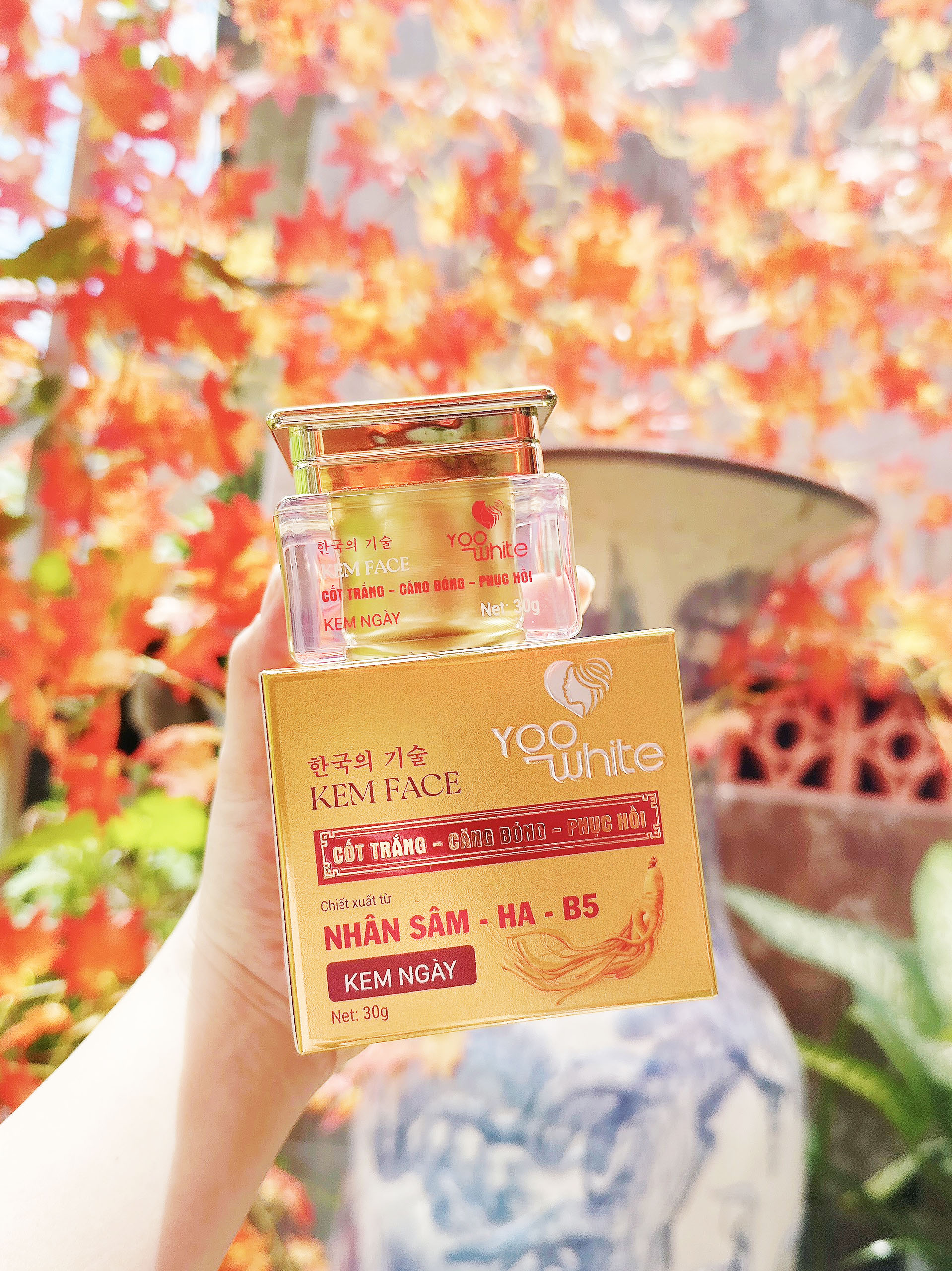 19963-z4442872805338-f22bcd7e44258bd64566ef4df7fe974d-2.jpg Kem Face Cốt Trắng Nhân Sâm Yoo White - COTTRANGYW