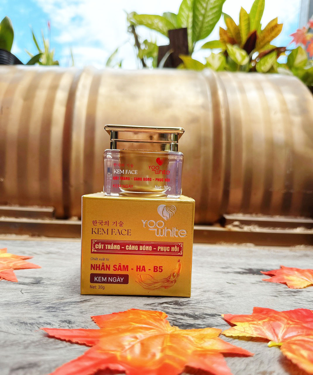 19963-z4442873194424-91462d7d66da7fa3977bda1367ab1354-2.jpg Kem Face Cốt Trắng Nhân Sâm Yoo White - COTTRANGYW