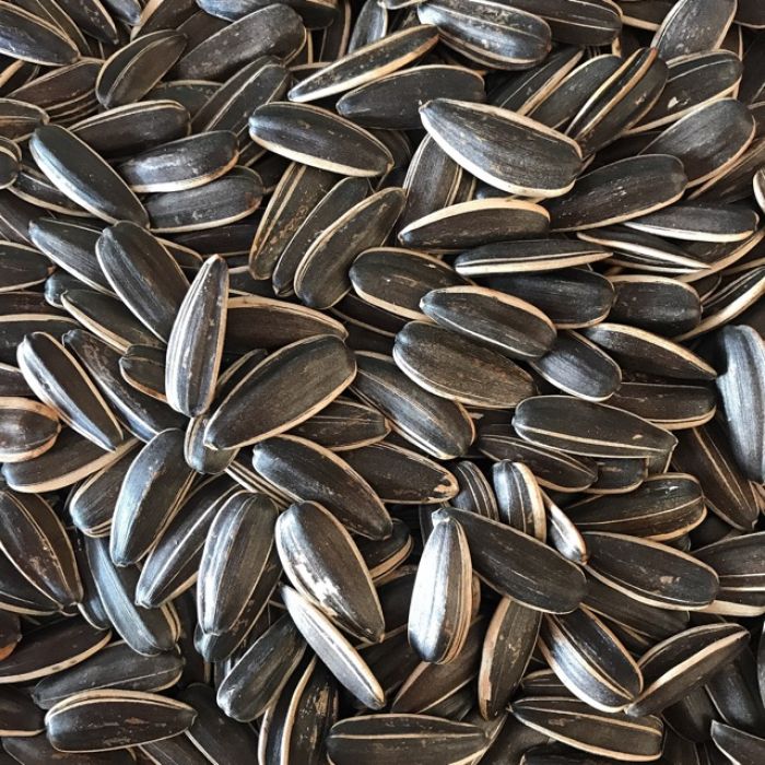 22765_hat-huong-duong-700x700_20241114094555-5.jpg Hộp Quà Tết Hạt Hướng Dương 300g - Hộp Sun Khía Hộp Quà Tết 2026 - 8936208933845