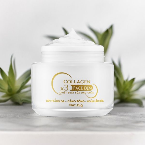 Combo Kem Face Đêm Collagen X3 TN Mỹ Phẩm Đông Anh - CBFACEX3TNDEM