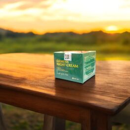 Kem Face Hỗ Trợ Dưỡng Da Ban Đêm Damian 33gr - 8938555293023