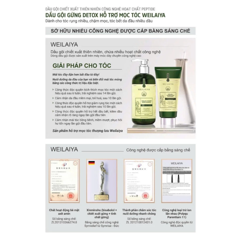 25320_cb-goi-xa-weilaiya-phu-photoroom_20240928154644-1.png Combo Dầu Gội Xả Gừng Weilaiya Màu Xanh Zingiber Detox X2 Ginger Essence Giúp Tóc Bóng Khỏe Giảm Gãy Rụng - GOIXAW02