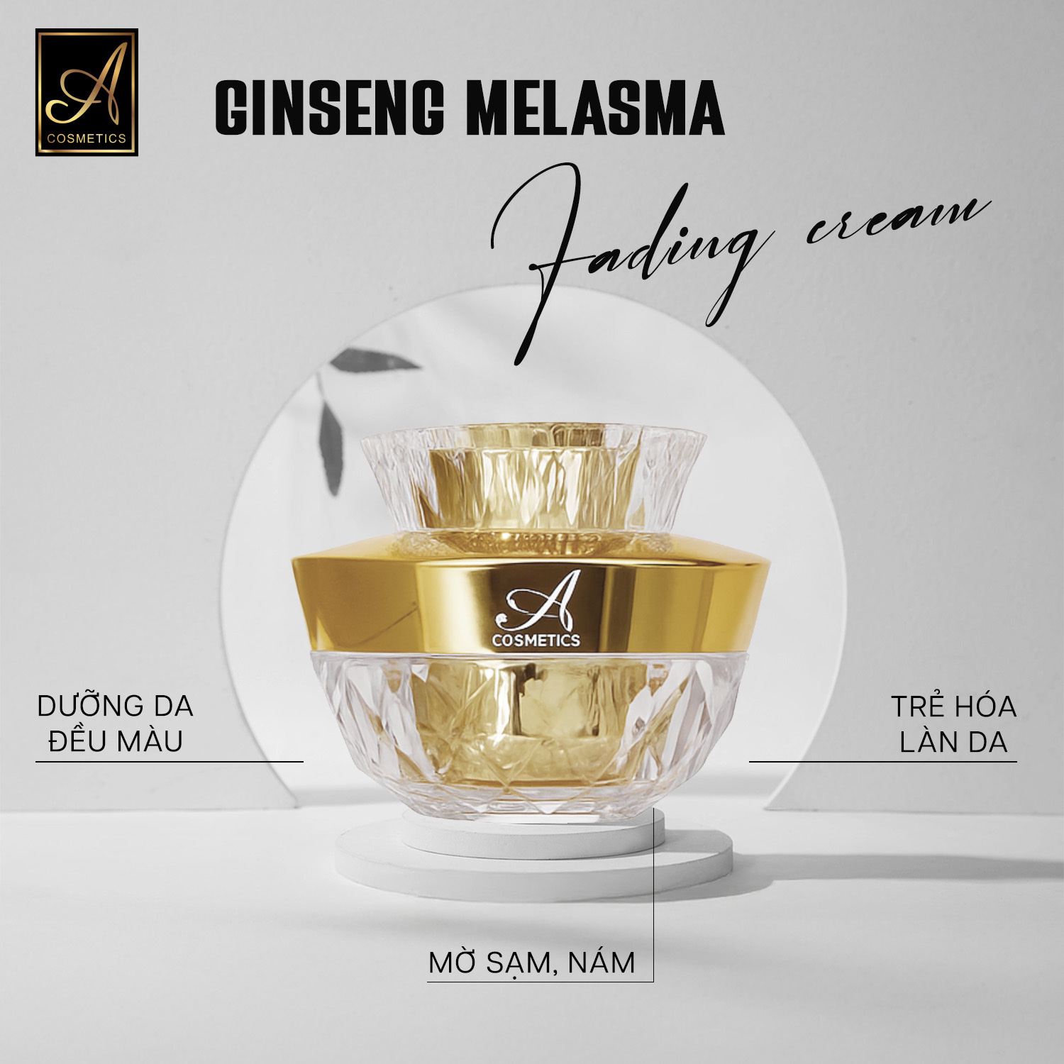 25361_z7164275605402-a6179bb5110bed4f4b0834159b983332_20251028161209-2.png Kem Face Nám Nhân Sâm Ginseng Melasma A Cosmetics 2024 Mỹ Phẩm Phương Anh - FACENAMA2024