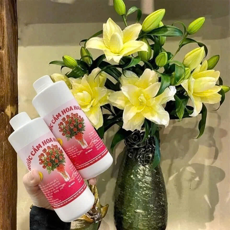 25982_z6230737522947-cfcce99b43c9f78475161bff6fa60961_20250117171333-2.jpg Nước Cắm Hoa Hamilk - Nước Giúp Hoa Tươi Lâu 14 Ngày 500ml - NLTH01