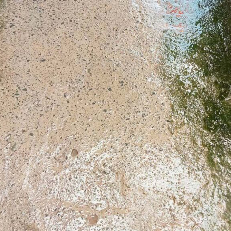 Bột Tẩy Rong Rêu Chống Trơn Trượt Sân Vườn Hiệu Quả 400g Bột Tẩy Rong Rêu Chống Trơn Trượt Sân Vườn Hiệu Quả 400g