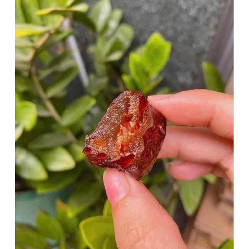 26349_6_20250426162411-2.png Táo Sấy Dẻo Không Hạt Thơm Ngon Hộp 500g - MTTLH500G