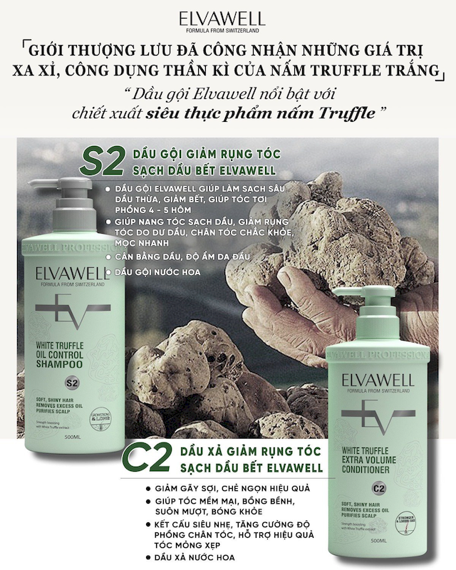 26477_z5188086334867-a7e03eb4bde45775b66a284b38691dbd_20250716155137-3.png Combo Dầu Gội Xả Elvawell Màu Xanh Nấm Truffle 1000ml Hỗ Trợ Tóc Sạch Dầu Bết - ELVAWELLXANH