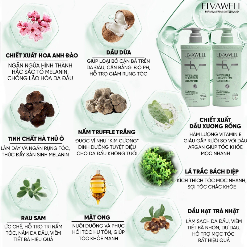 26477_z5189342133243-e5ae999623a2d04f477a35d7ff25a798_20250716155137-3.png Combo Dầu Gội Xả Elvawell Màu Xanh Nấm Truffle 1000ml Hỗ Trợ Tóc Sạch Dầu Bết - ELVAWELLXANH