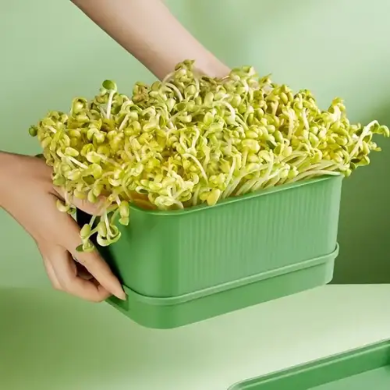 26890_5_20251015172546-1.png Khay Trồng Giá Đỗ Bằng Nhựa Nguyên Sinh - Khay Trồng Rau Mầm - KTR01