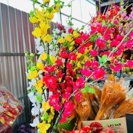 Set 5 CÀNH HOA ĐÀO CỔ - Ngắn - SET5CNH