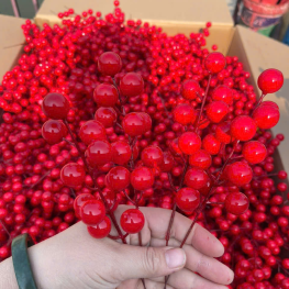 Combo 10 nhánh ĐÔNG ĐÀO - NHÁNH NHỎ - COMBO10NHNH