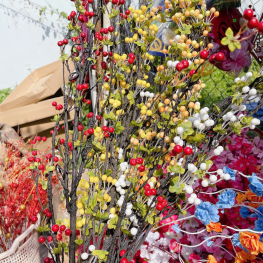 1 CÀNH CHERRY CỔ - 1CNHCHERRYC