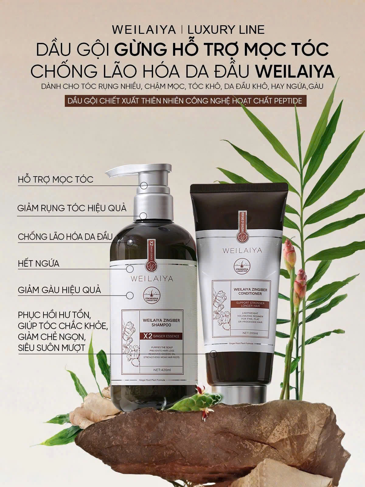 Weilaiya Bộ Dầu Gội Gừng Hỗ Trợ Mọc Tóc  Chống Lão Hóa Da Đầu Luxury 420ml x 200ml