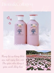 Cặp dầu phiên bản nâng cấp x3 lần Biotin Collagen Essence, hương nước hoa